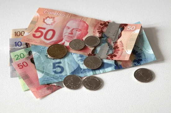 Learning About Substantial Issuer Bids in Canada in 2024